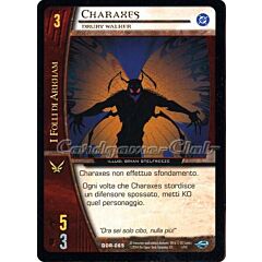 DOR-065 Charaxes comune -NEAR MINT-