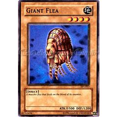 TP1-017 Giant Flea comune (EN) -NEAR MINT-