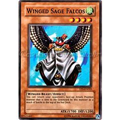 TP5-EN019 Winged Sage Falcos comune (EN) -NEAR MINT-