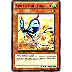 STBL-IT003 Farfalla del Canneto comune 1a Edizione (IT) -NEAR MINT-