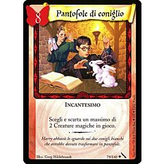 079/140 Pantofole di Coniglio non comune (IT)