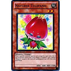 HA03-IT013 Naturia Tulipano super rara 1a Edizione (IT) -NEAR MINT-