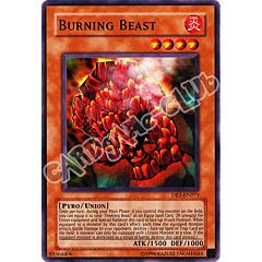 DR1-EN071 Burning Beast comune (EN) -NEAR MINT-