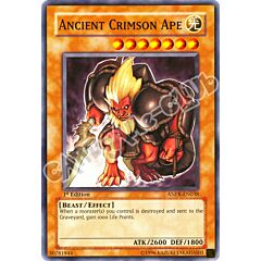 ANPR-EN038 Ancient Crimson Ape comune 1st Edition (EN) -NEAR MINT-