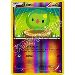 055 / 114 Solosis comune foil reverse (EN) -NEAR MINT-