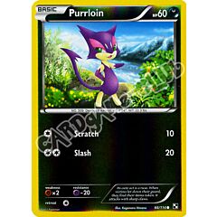 066 / 114 Purrloin comune foil reverse (EN) -NEAR MINT-