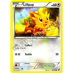 081 / 114 Lillipup comune (EN) -NEAR MINT-