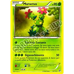 012 / 114 Maractus rara (IT) -NEAR MINT-