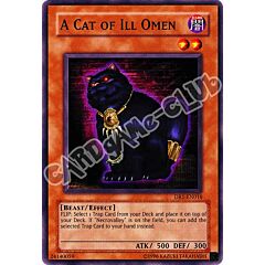 DR1-EN018 A Cat of Ill Omen comune (EN) -NEAR MINT-