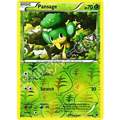 01 / 98 Pansage comune foil reverse (EN) -NEAR MINT-