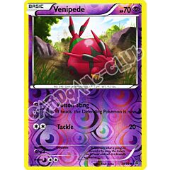 38 / 98 Venipede comune foil reverse (EN) -NEAR MINT-