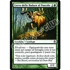 11 / 80 Cervo delle Radure al Pascolo comune (IT) -NEAR MINT-