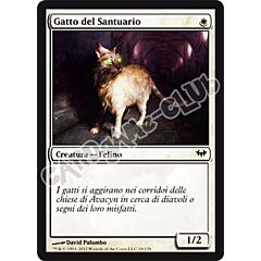 019 / 158 Gatto del Santuario comune (IT) -NEAR MINT-