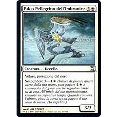 014 / 301 Falco Pellegrino dell' Imbrunire non comune (IT) -NEAR MINT-