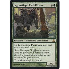 091 / 165 Legnostirpe Pietrificata rara (IT) -NEAR MINT-