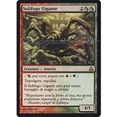 143 / 165 Solifugo Gigante rara (IT) -NEAR MINT-