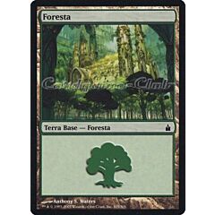 305 / 306 Foresta comune (IT) -NEAR MINT-