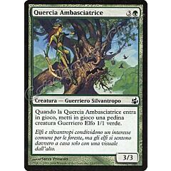 113 / 150 Quercia Ambasciatrice comune (IT) -NEAR MINT-