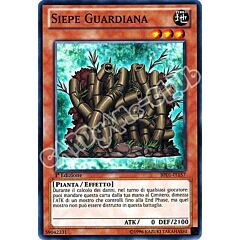 BP01-IT157 Siepe Guardiana comune 1a Edizione (IT) -NEAR MINT-