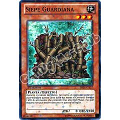 BP01-IT157 Siepe Guardiana comune starfoil 1a Edizione (IT) -NEAR MINT-