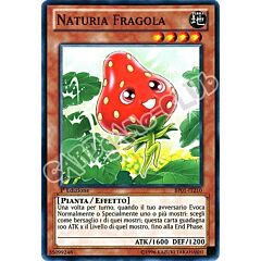 BP01-IT210 Naturia Fragola comune 1a Edizione (IT) -NEAR MINT-