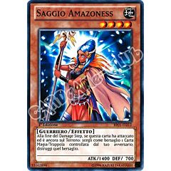 BP01-IT212 Saggio Amazoness comune 1a Edizione (IT) -NEAR MINT-