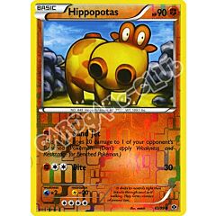 065 / 099 Hippopotas comune foil reverse (EN) -NEAR MINT-