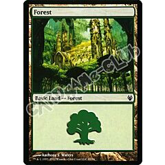 89 / 90 Forest comune (EN) -NEAR MINT-