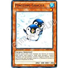 ABYR-IT037 Pinguino Gracile comune 1a Edizione (IT) -NEAR MINT-