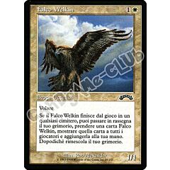 025 / 143 Falco Welkin comune (IT) -NEAR MINT-