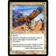 Aquila Caccianubi comune (IT) -NEAR MINT-