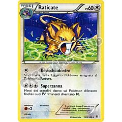105 / 149 Raticate non comune (IT) -NEAR MINT-