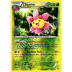 007 / 135 Cherrim rara foil reverse (EN) -NEAR MINT-