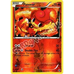 019 / 135 Pansear comune foil reverse (EN) -NEAR MINT-