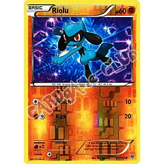 075 / 135 Riolu comune foil reverse (EN) -NEAR MINT-