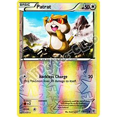 110 / 135 Patrat comune foil reverse (EN) -NEAR MINT-