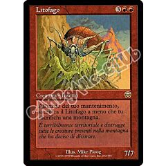 202 / 350 Litofago rara (IT) -NEAR MINT-