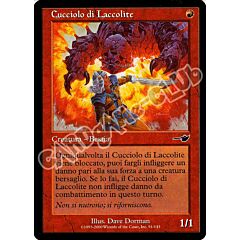091 / 143 Cucciolo di Laccolite comune (IT) -NEAR MINT-