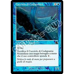 049 / 143 Cucciolo di Codapunta comune (IT) -NEAR MINT-