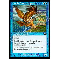 050 / 143 Aquila Scrutatempesta comune (IT) -NEAR MINT-