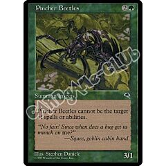Pincher Beetles comune (EN) -NEAR MINT-