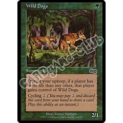 284 / 350 Wild Dogs comune (EN) -NEAR MINT-