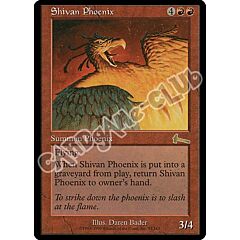 091 / 143 Shivan Phoenix rara (EN) -NEAR MINT-