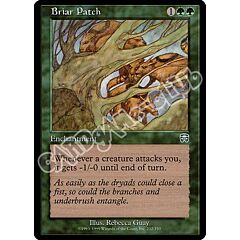 232 / 350 Briar Patch non comune (EN) -NEAR MINT-