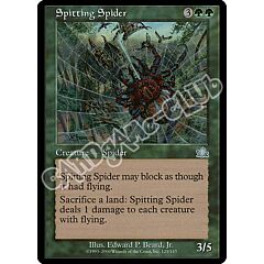 125 / 143 Spitting Spider non comune (EN) -NEAR MINT-