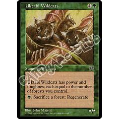 Uktabi Wildcats rara (EN) -NEAR MINT-