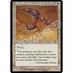 028 / 143 Suntail Hawk comune (EN) -NEAR MINT-