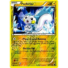 037 / 116 Pachirisu comune foil reverse (EN) -NEAR MINT-