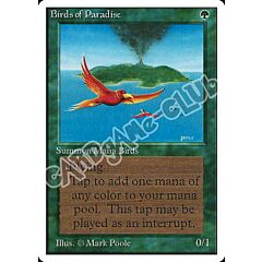 Birds of Paradise rara (EN) -NEAR MINT-