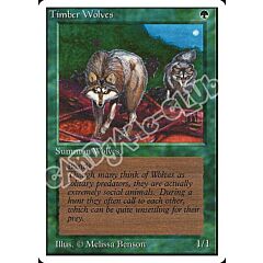 Timber Wolves rara (EN) -NEAR MINT-